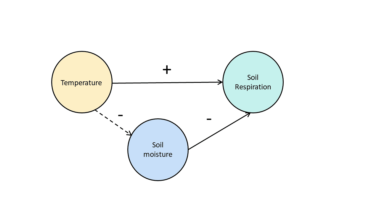 Diagram of the relationship between variables in a soil respiration experiment