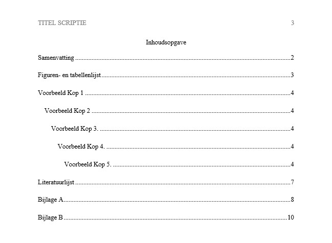 apa-voorbeeld-inhoudsopgave