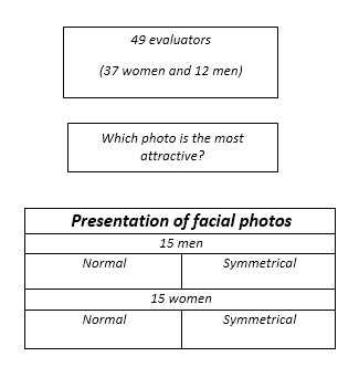 schema-experiment-artikel