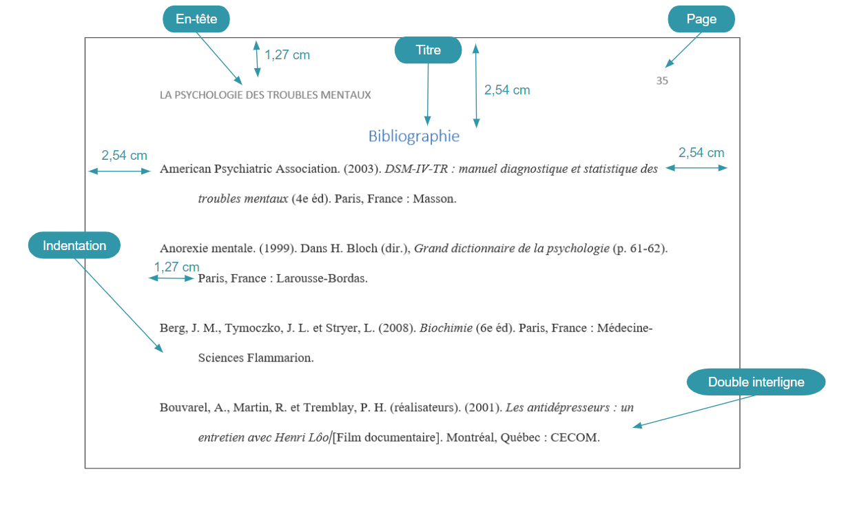 apa normen thesis