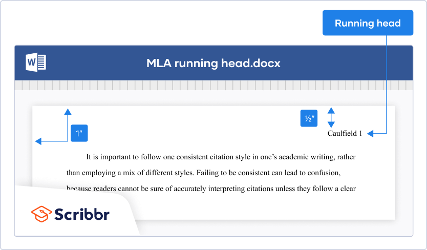 Perfect your Citations APA, MLA, Chicago and more…