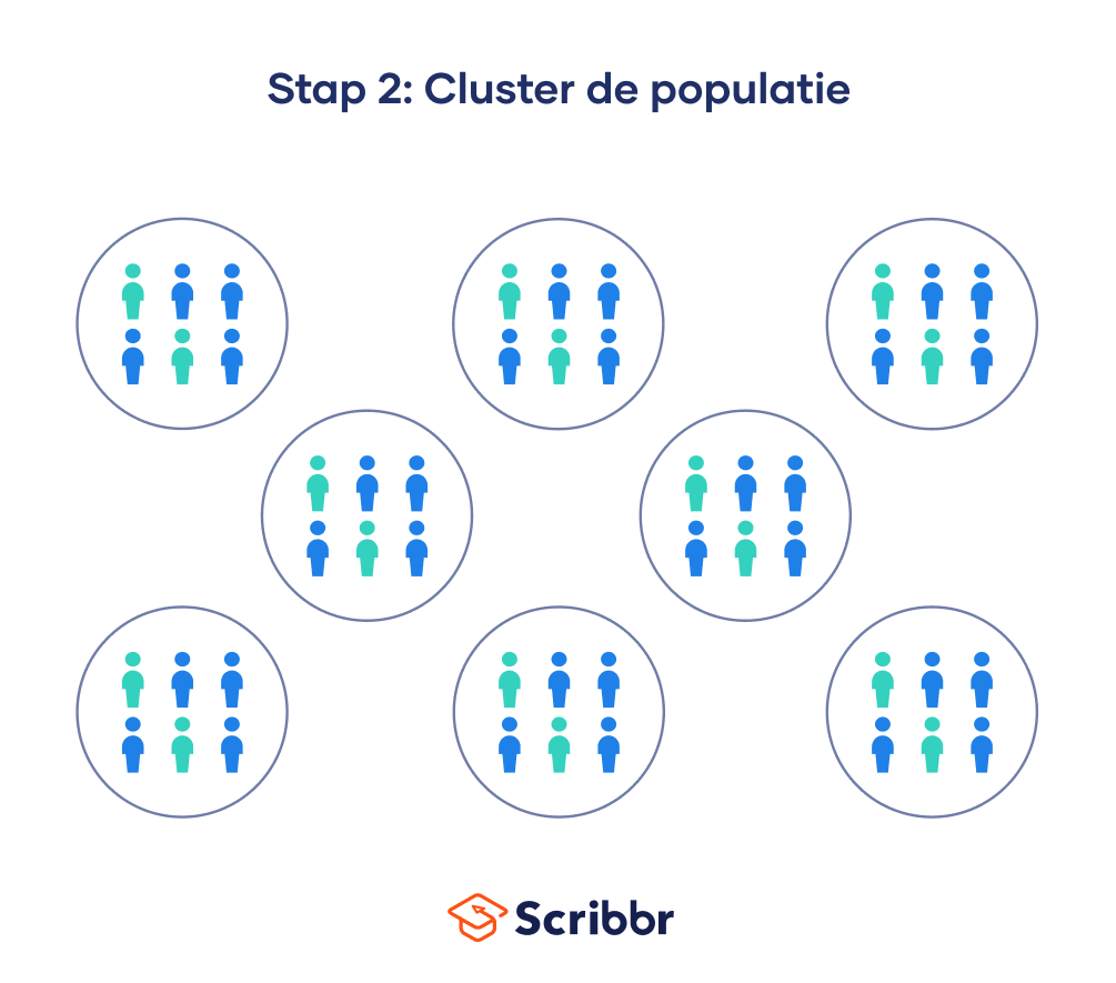 Deel je populatie op in clusters