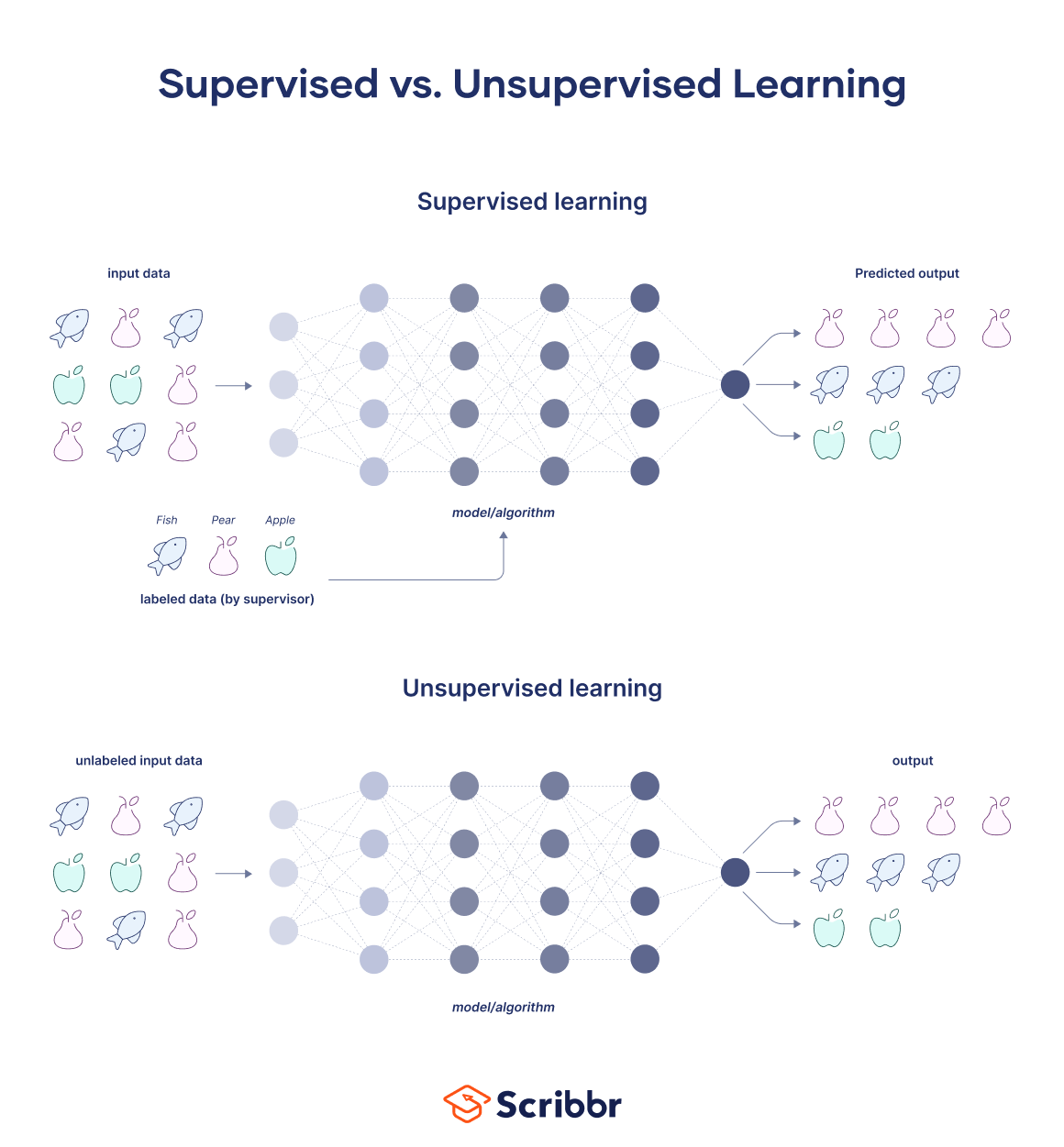Supervised vs. Unsupervised Learning: Key Differences