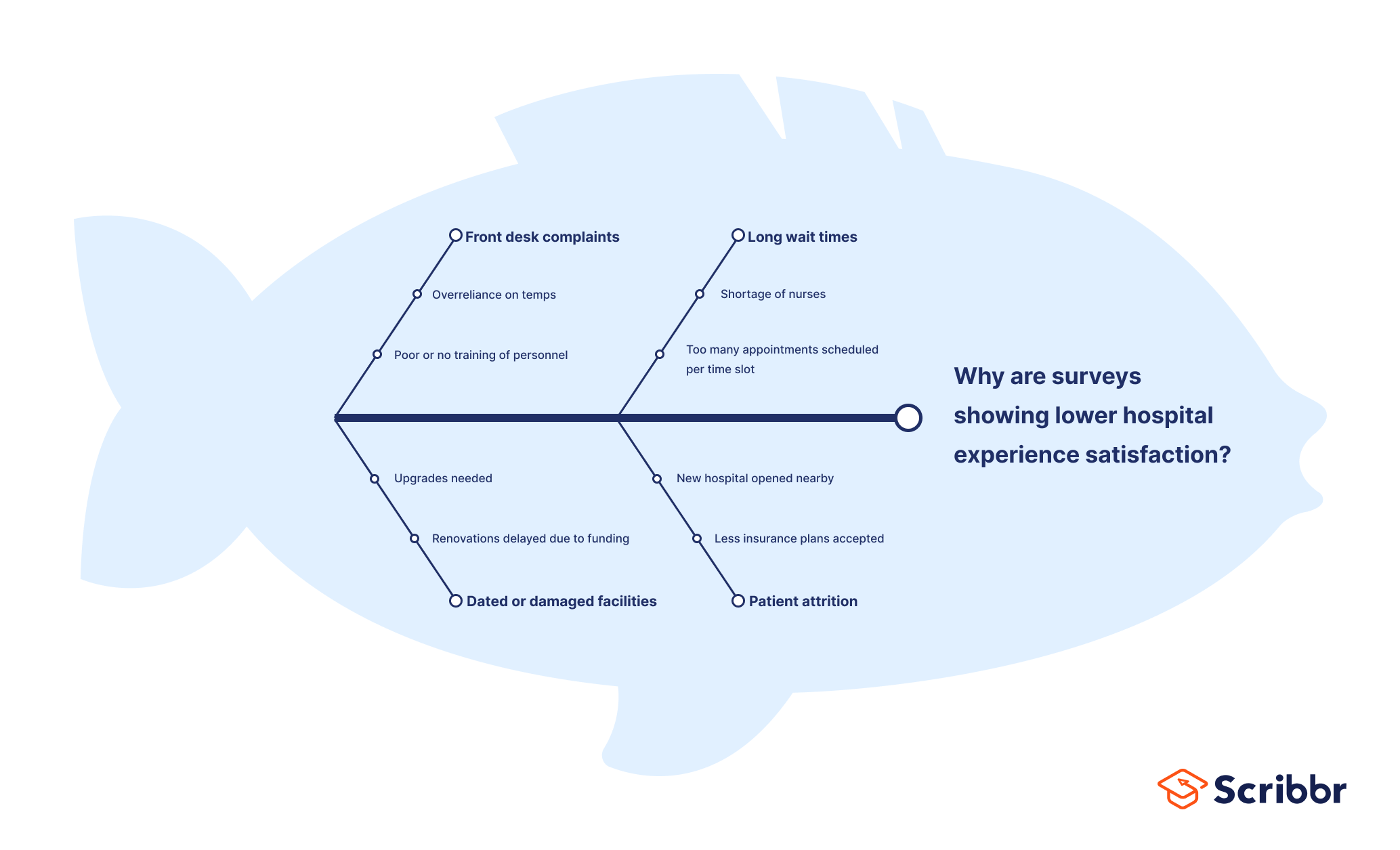 Fishbone Diagram example